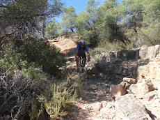 MARXA/PEDALADA CÉRVOLES ON BIKE