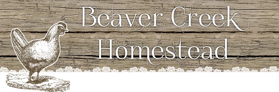Welcome to Beaver Creek Homestead