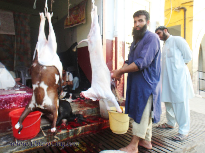 Meat shop business plan pdf image