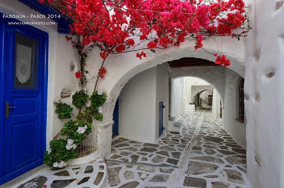 Alley with a red bougainvillea in Paros Bougainvillea