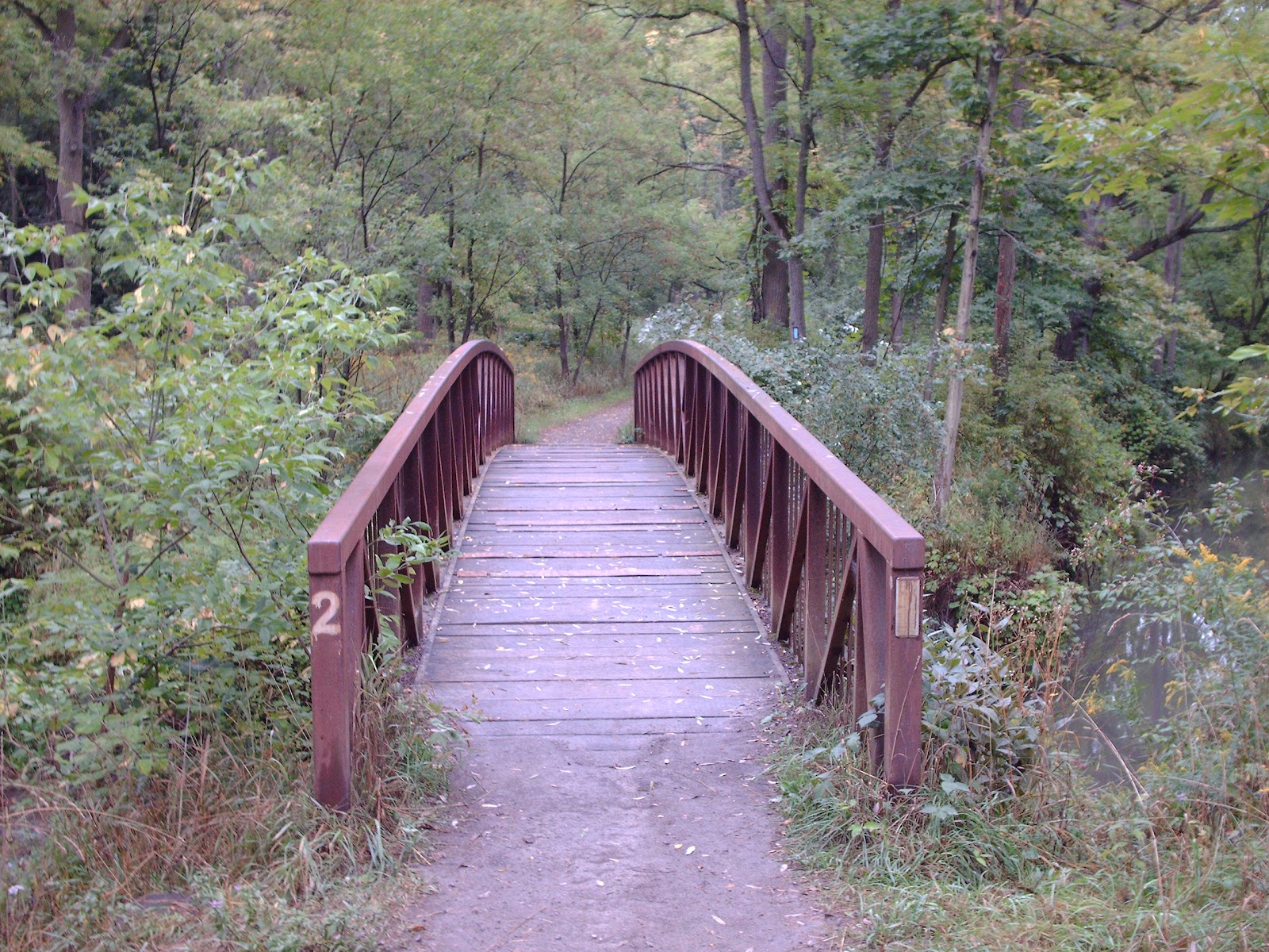 Black Walnut Trail Short Hills Provincial Park Chase March