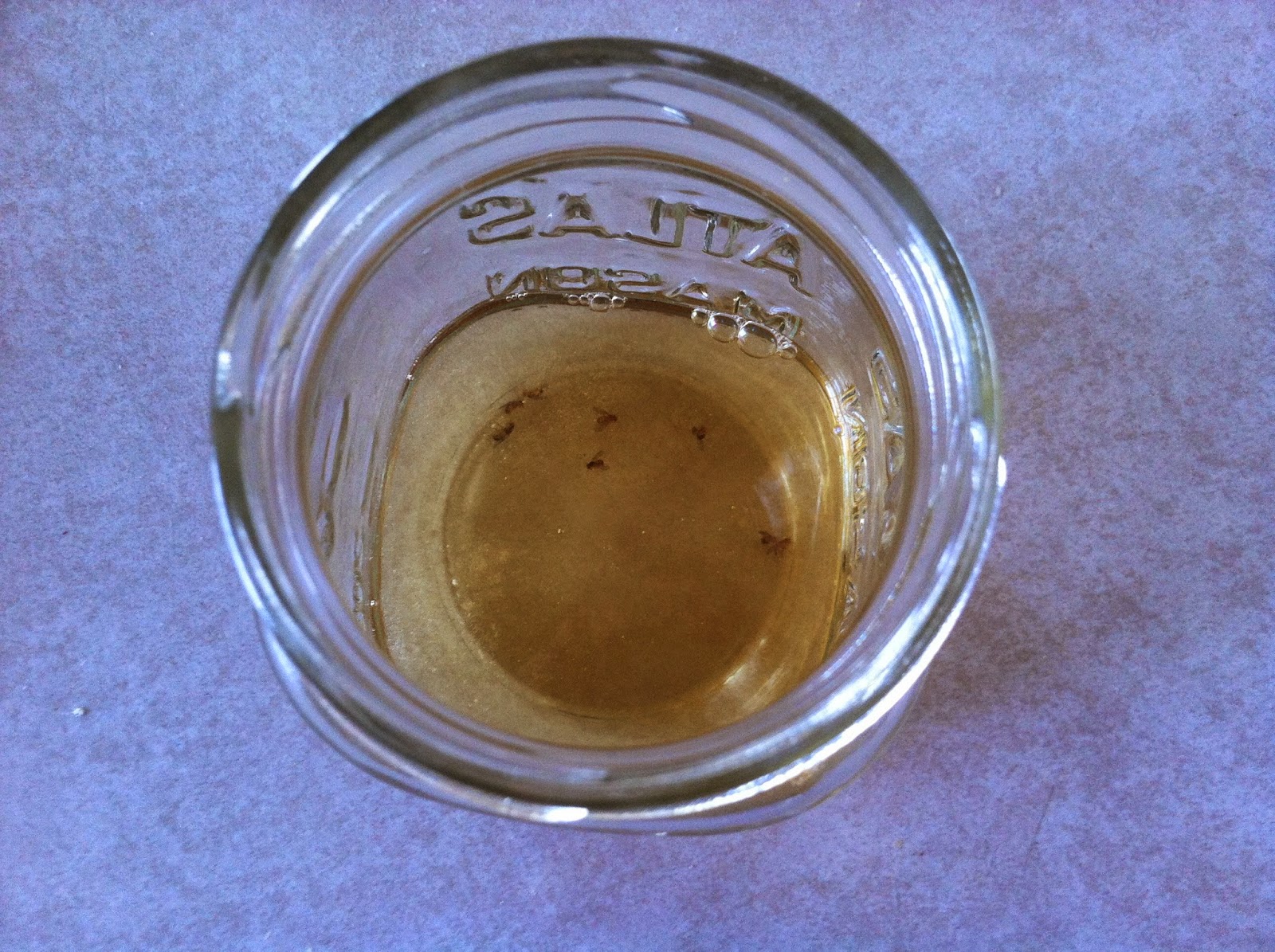 menu managed Fruit Fly Killer