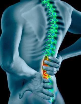 fundacion alfa omega mc blogger