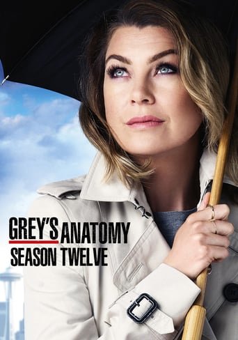 Anatomia de Grey Temporada 12 audio Español Anatomia de Grey Temporada 12 audio Español