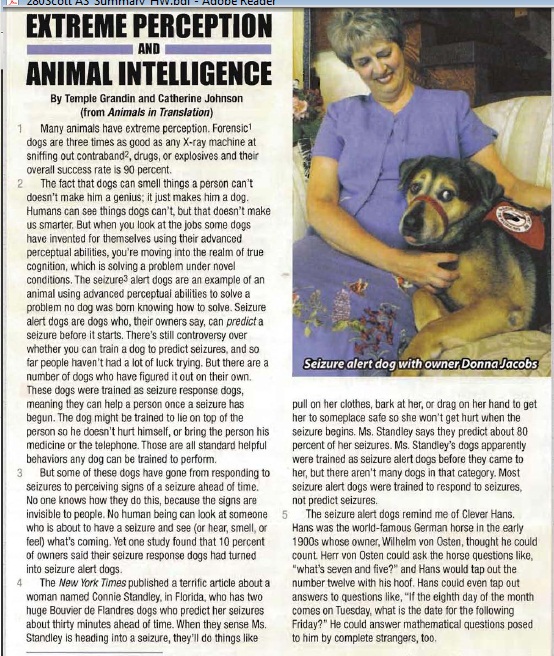 extreme perception and animal intelligence There is a deep literature on visual cognition and spatial orientation in chickens (including young chicks) that demonstrates they are capable of such visual feats as completion of visual. extreme perception and animal intelligence There is a deep literature on visual cognition and spatial orientation in chickens (including young chicks) that demonstrates they are capable of such visual feats as completion of visual.