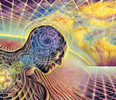 Viagem Consciente Consciência Livre
