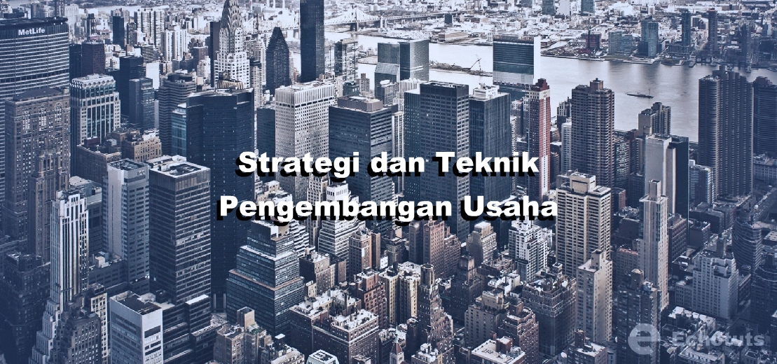 Strategi dan Teknik Pengembangan Usaha - Echotuts