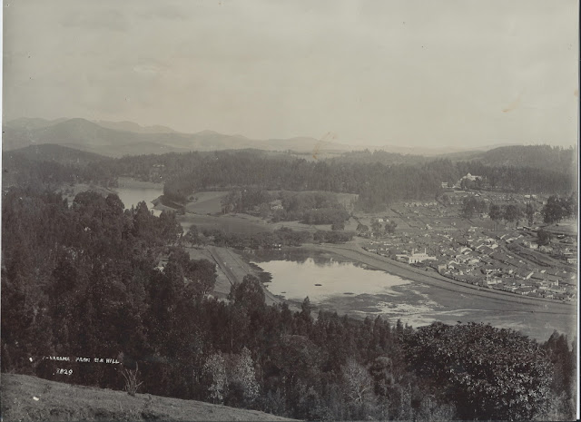 Panorama+from+Elk+Hill,+Ooty,+Tamil+Nadu+-+1890's