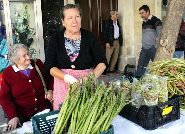 Wild asparagus, jerez de la frontera, Spain.