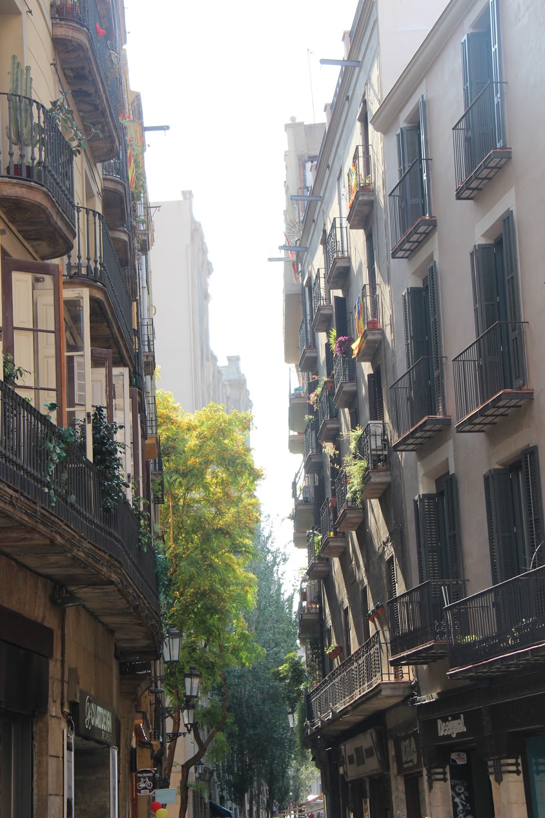 Bubo A Sweet Spot in Barcelona Barcelona Sotheby's