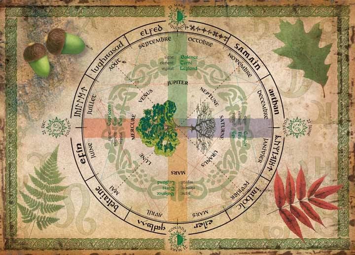 Crone Cronicles Celtic calendar and astrology was based on trees