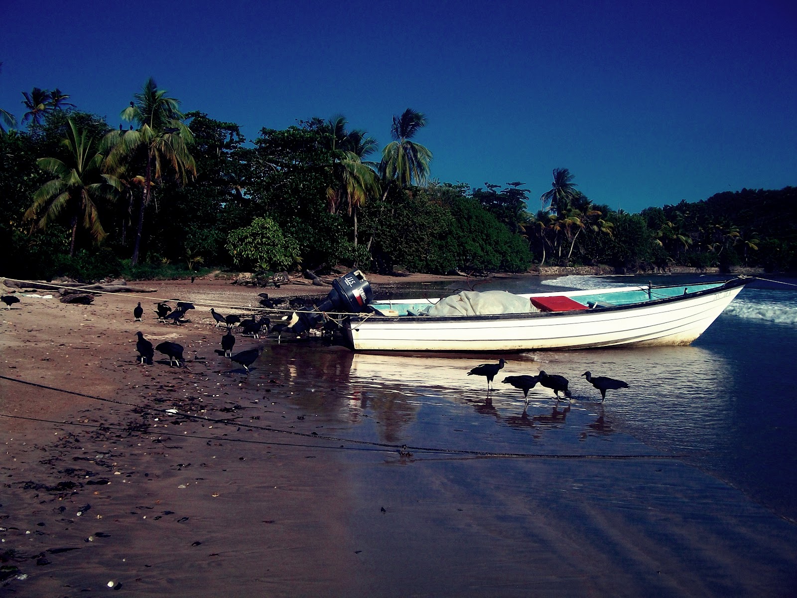 Balandra Bay Trinidad