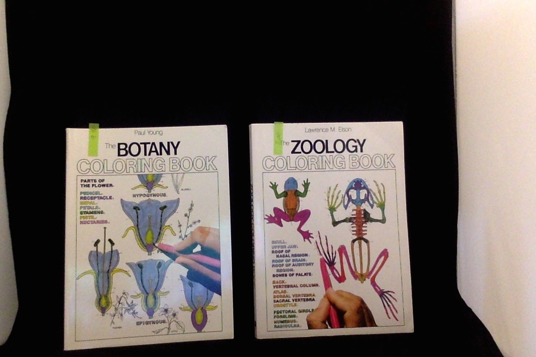 KarenTrina Childress : Homeschool Curriculum Clearance Sale