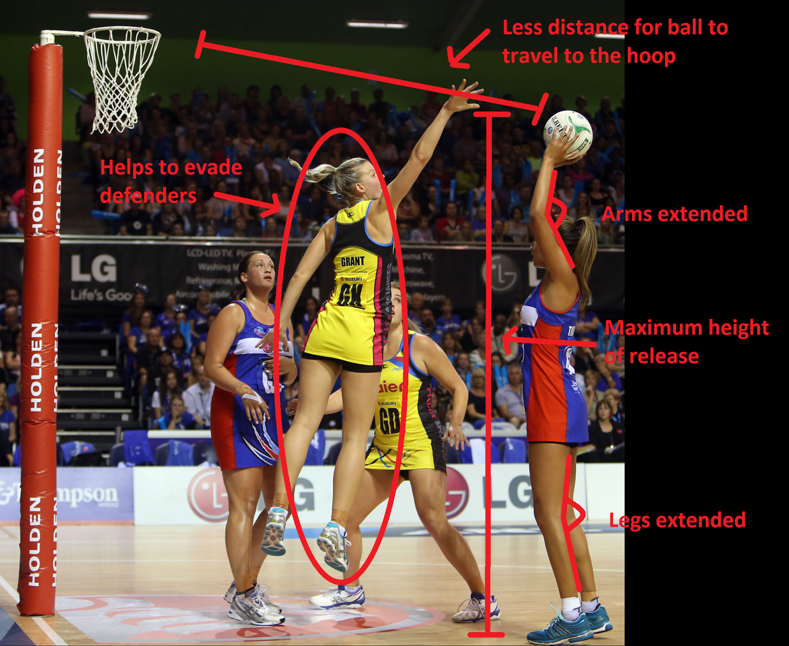 What biomechanical principals underpin the netball shot?