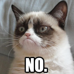 grumpy-cat-8141_preview.png