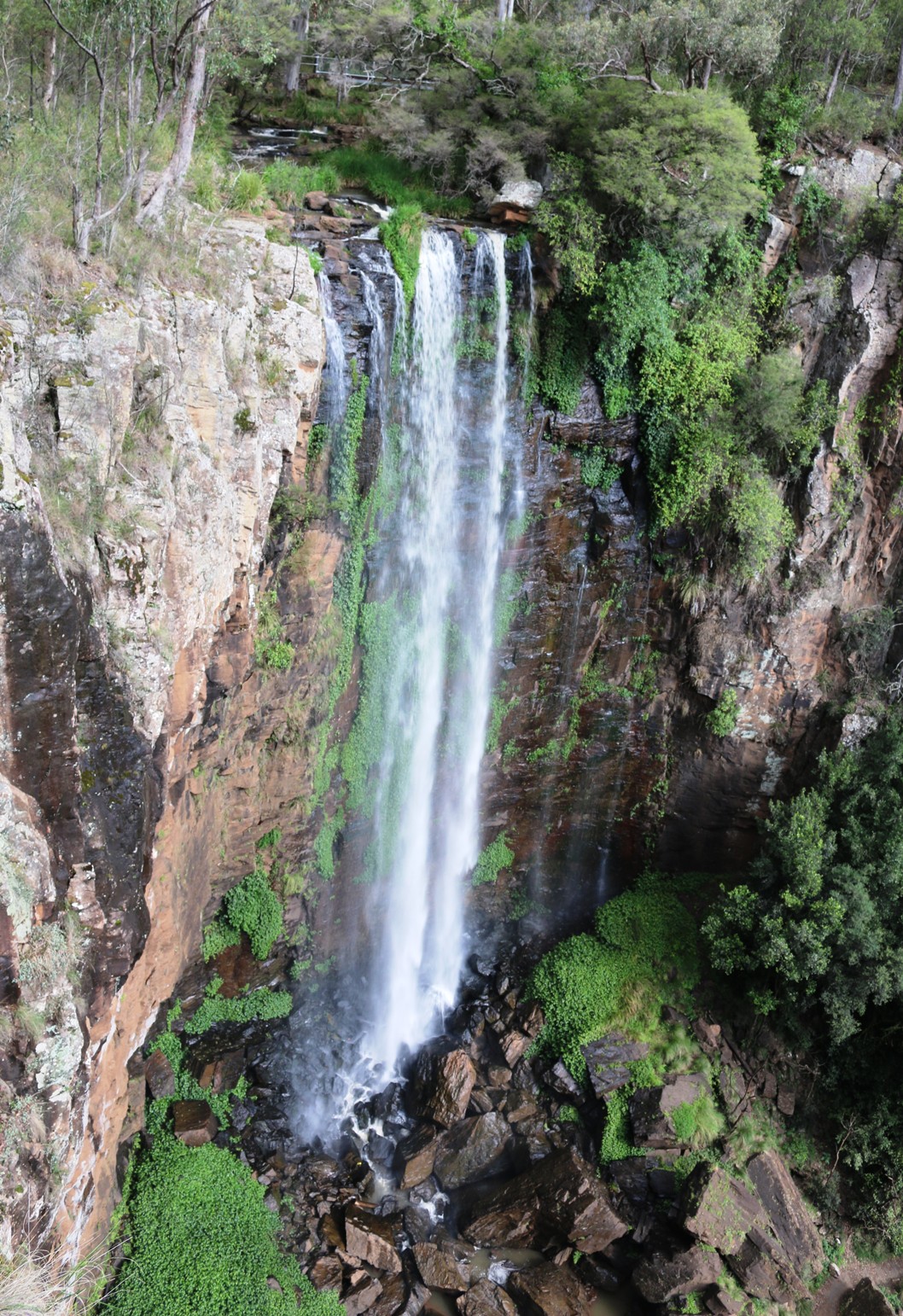 National Park Odyssey Queen Mary Falls Section of Main Range National