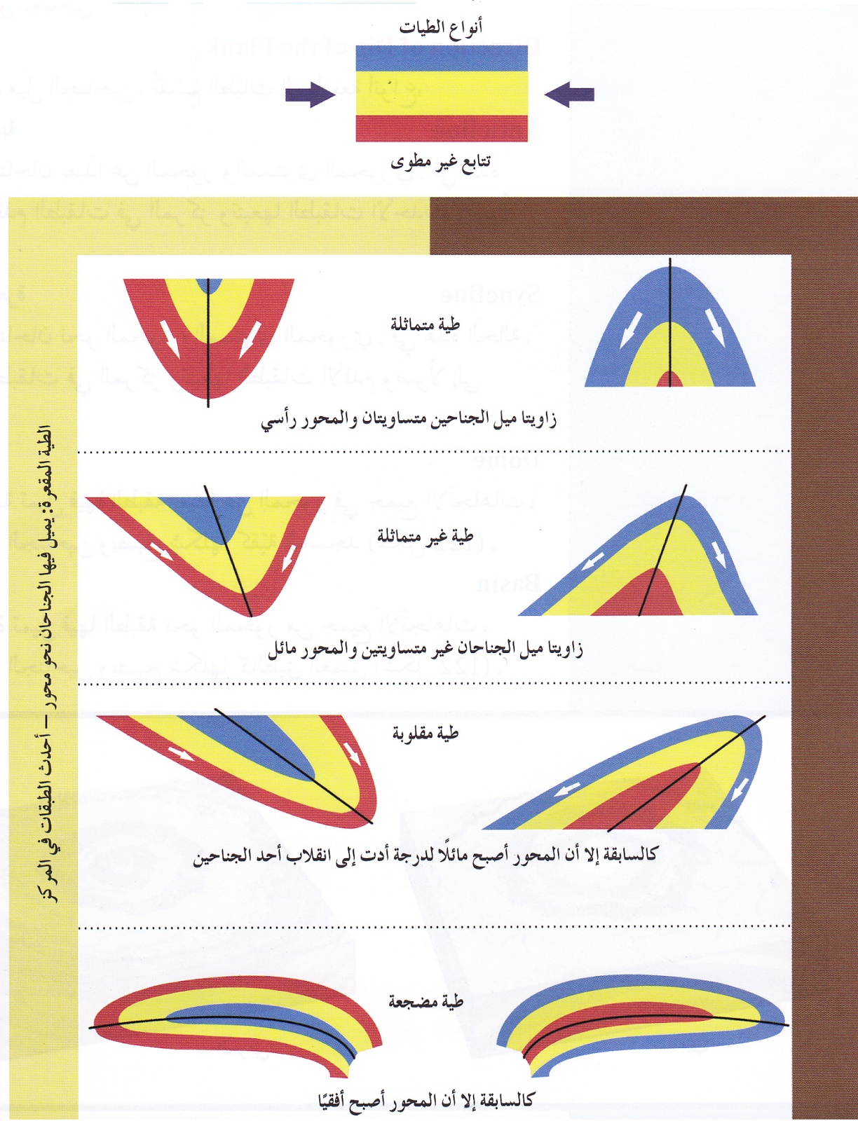 الطيات الطيات
