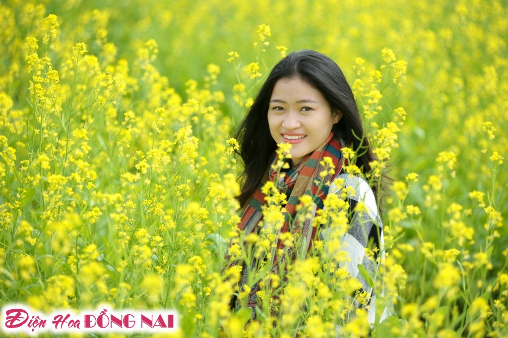 [Image: Ruc-ro-sac-vang-mua-hoa-cai-o-Ha-Noi-3.jpg]