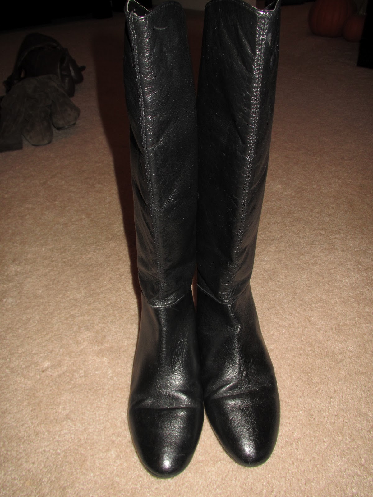 The Southern Darling How to make your boots happy...seriously!