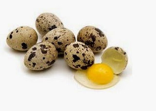 Telur Puyuh dan Kadungan Gizi Telur Puyuh dan Kadungan Gizi