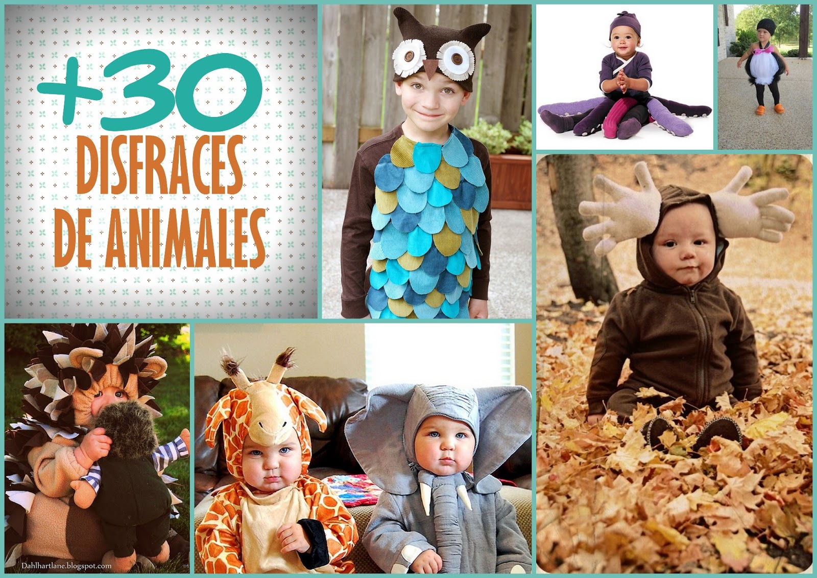 Disfraces De Animales Para Ninos Disfraces De Animales Para Ninos