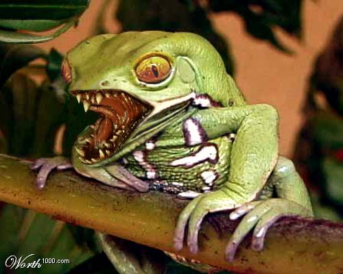 scary+frog.jpg