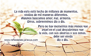 La esperanza no es fingir que no existen los problemas. Reflexiones de esperanza,