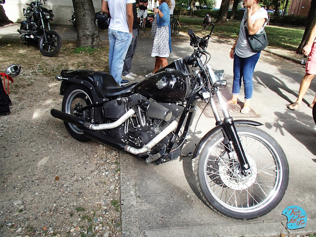 Amc poker run 2013