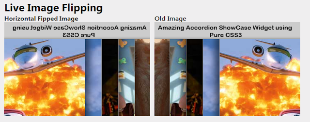 Image Flipping Using ASP.NET(WebImage helper) Image Flipping Using ASP.NET(WebImage helper)