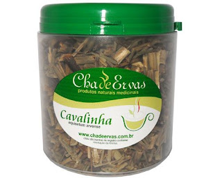 cavalinha emagrece