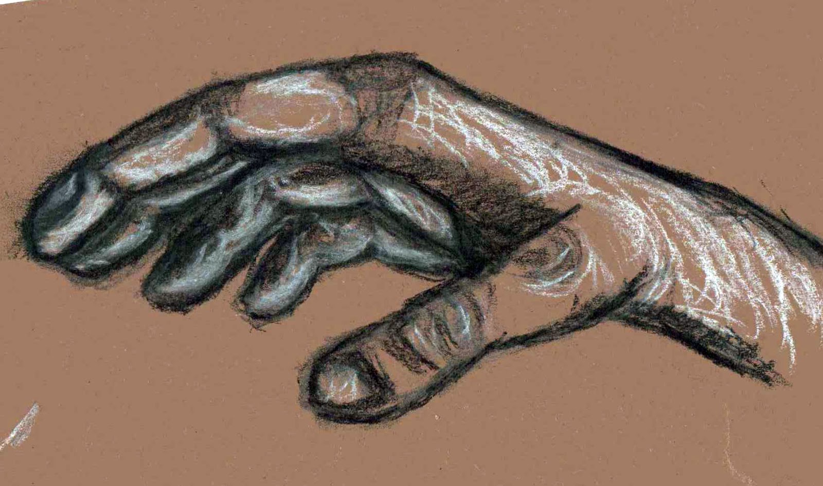 Advanced Observational Drawing Blog Daniel Jacobs Week 10 Life Drawing Tone and Colour in