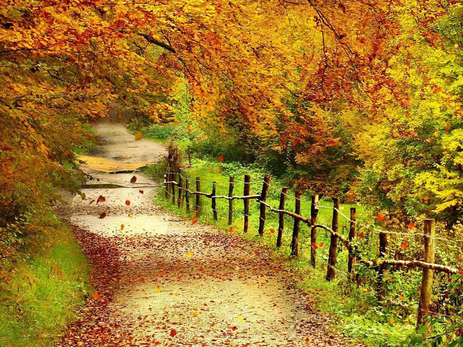 wallpapers: Beautiful Autumn Scenery Wallpapers