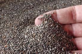 Semillas de Chia Dosis-para-las-semillas-de-chia