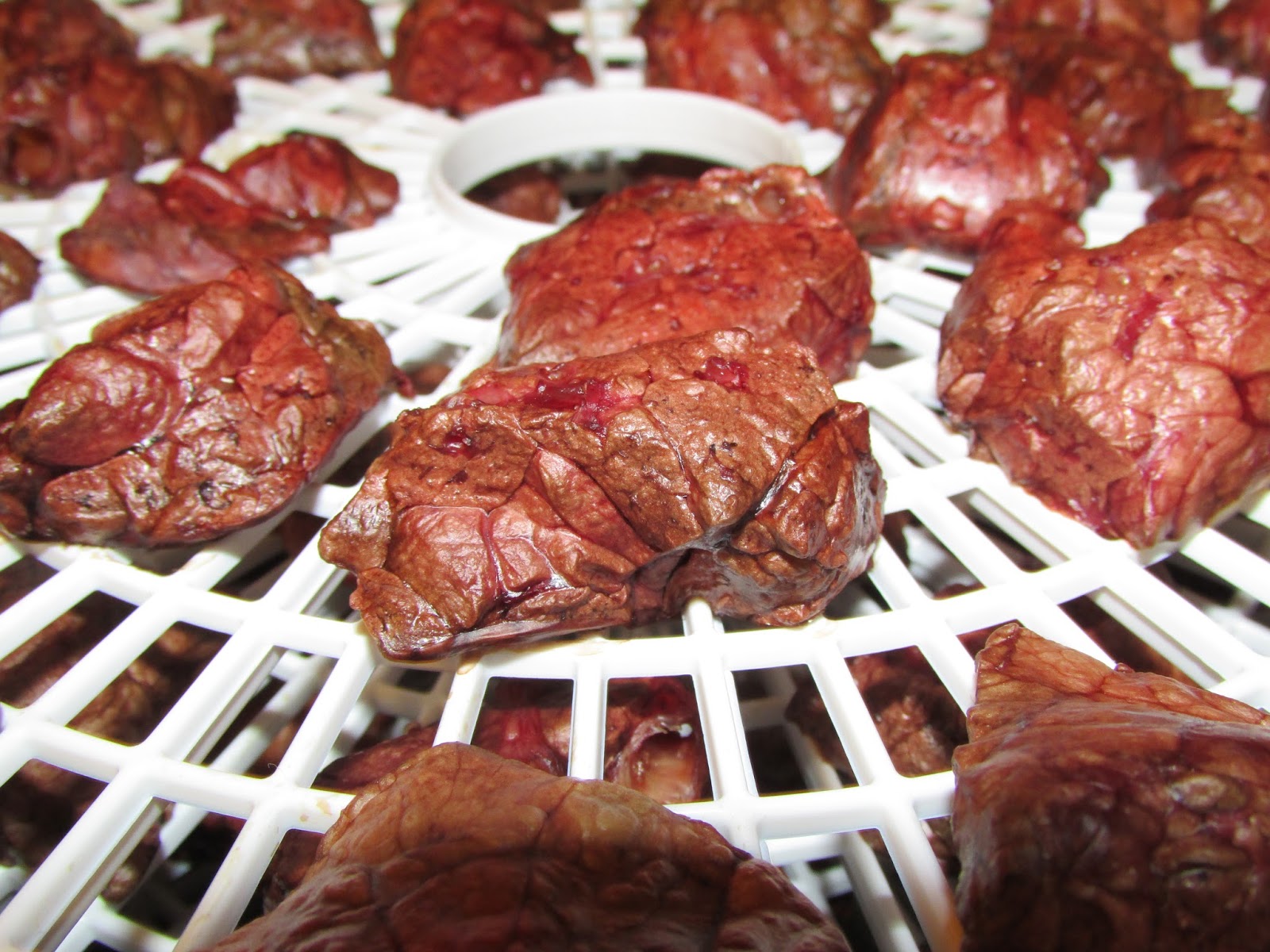 My Rotten Dogs Homemade Dehydrated Beef Lung Dog Treats