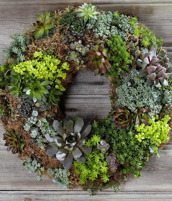the pink chalkboard succulent wreaths the pink chalkboard succulent wreaths