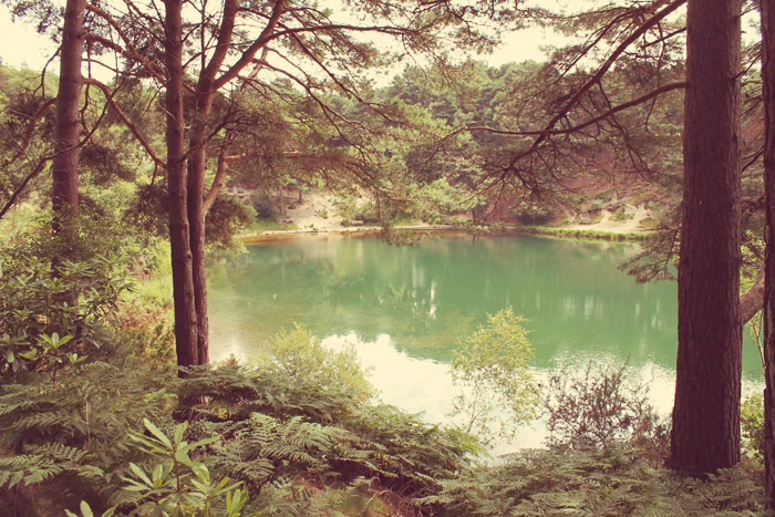 blue pool blue pool furzebrook