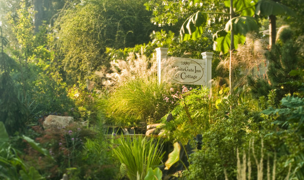 Asheville Nc Garden Tour June Is The Best Month