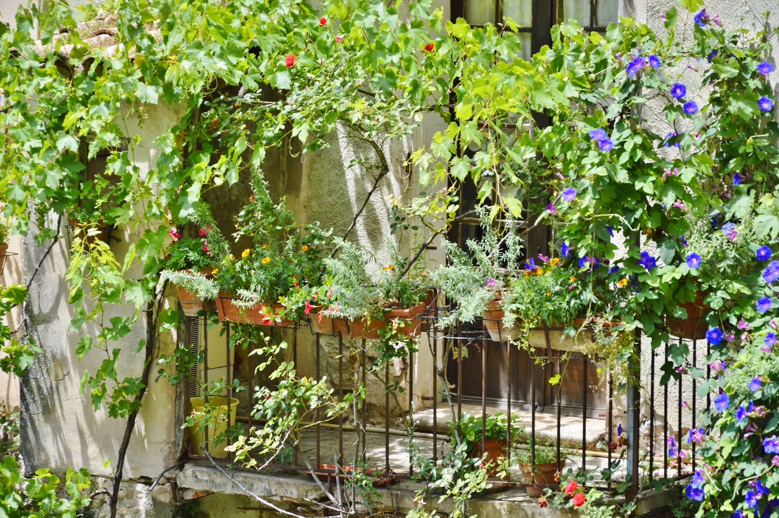 En ydmyg have: juli 2014