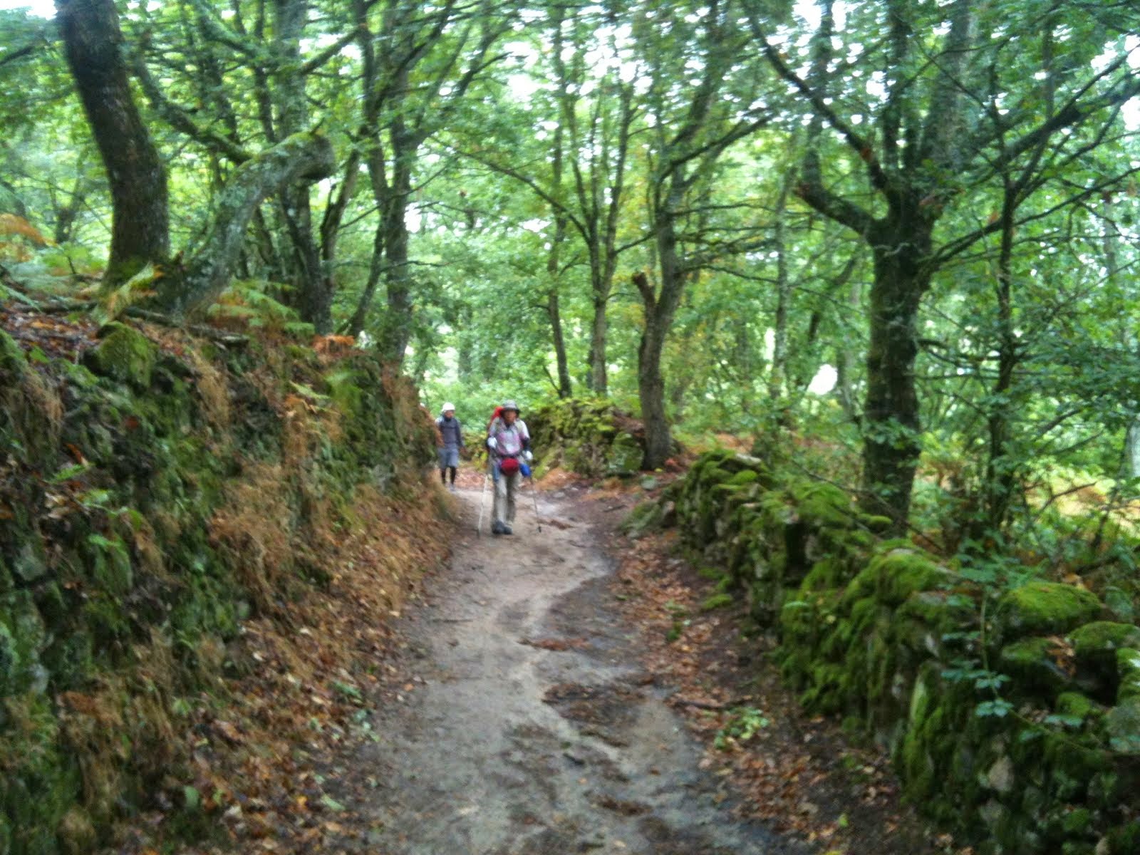 An ancient Galician Path
