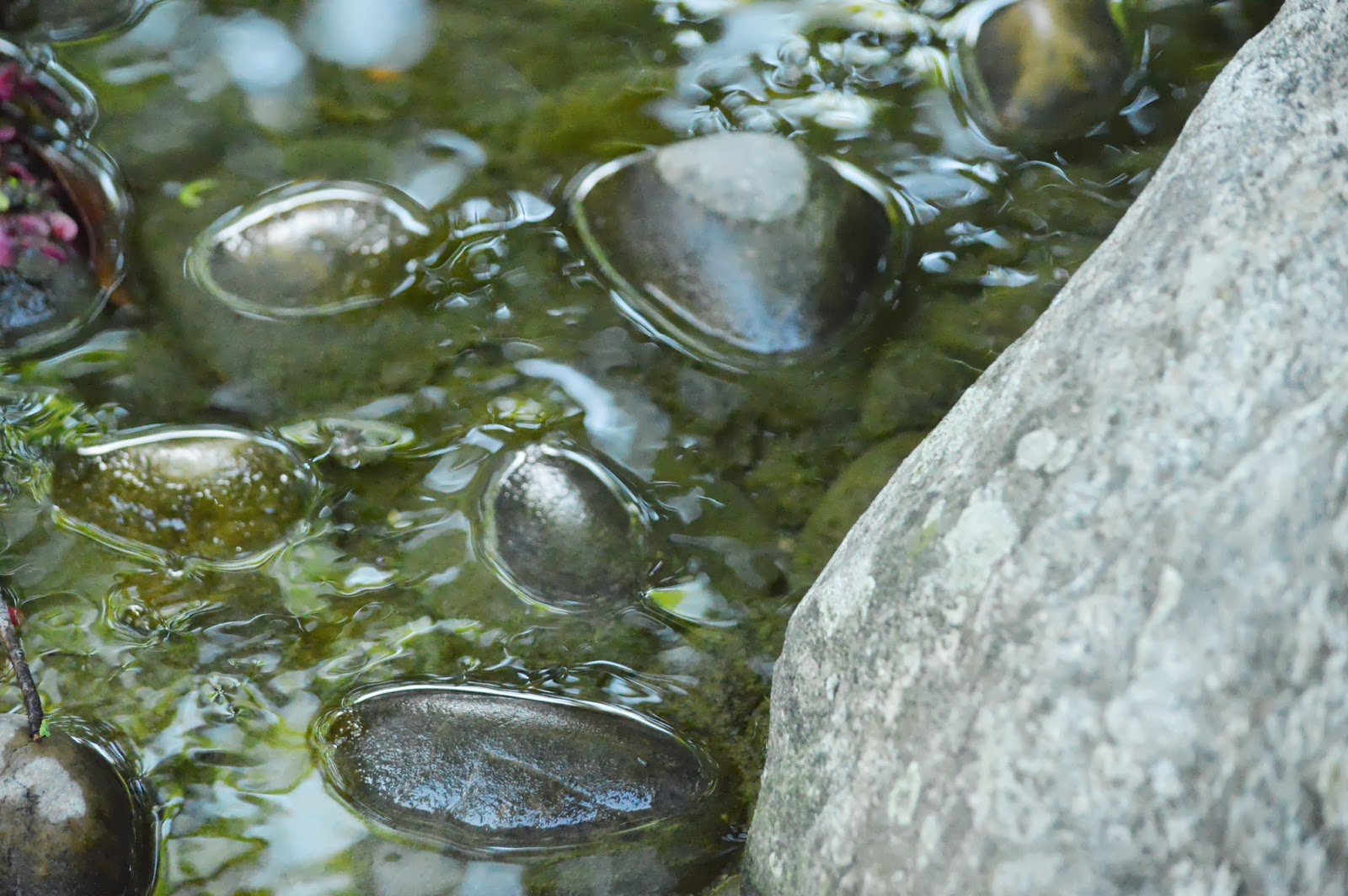 Nevs Photography Wasserspiel