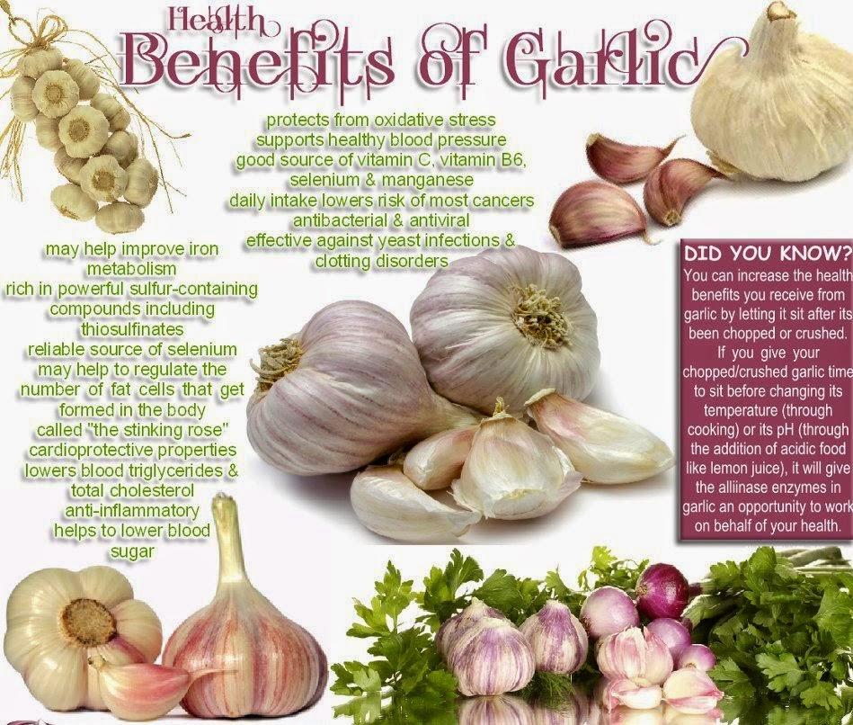 Garlic Benefits Garlic Benefits