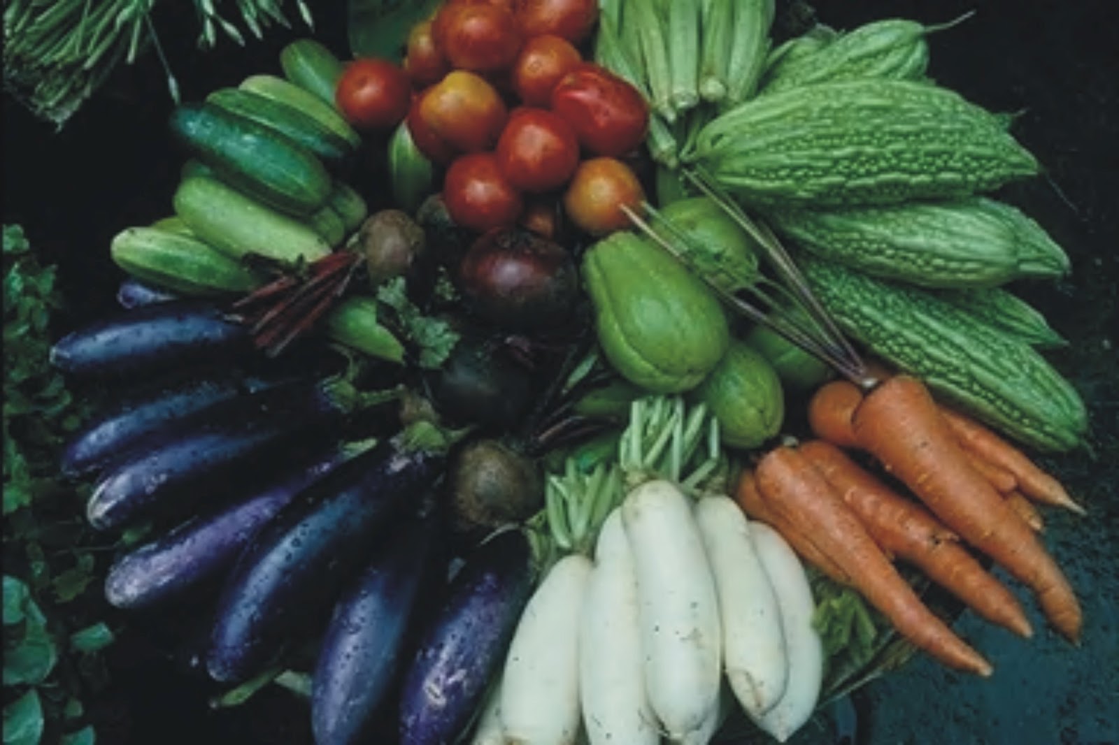 Top Ten Antioxidant Vegetables quickandyummymeals