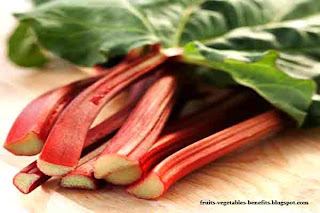 benefits_of_rhubarb_juice_fruits-vegetables-benefits.blogspot.co(benefits_of_rhubarb_juice_12) benefits_of_rhubarb_juice_fruits-vegetables-benefits.blogspot.co(benefits_of_rhubarb_juice_12)