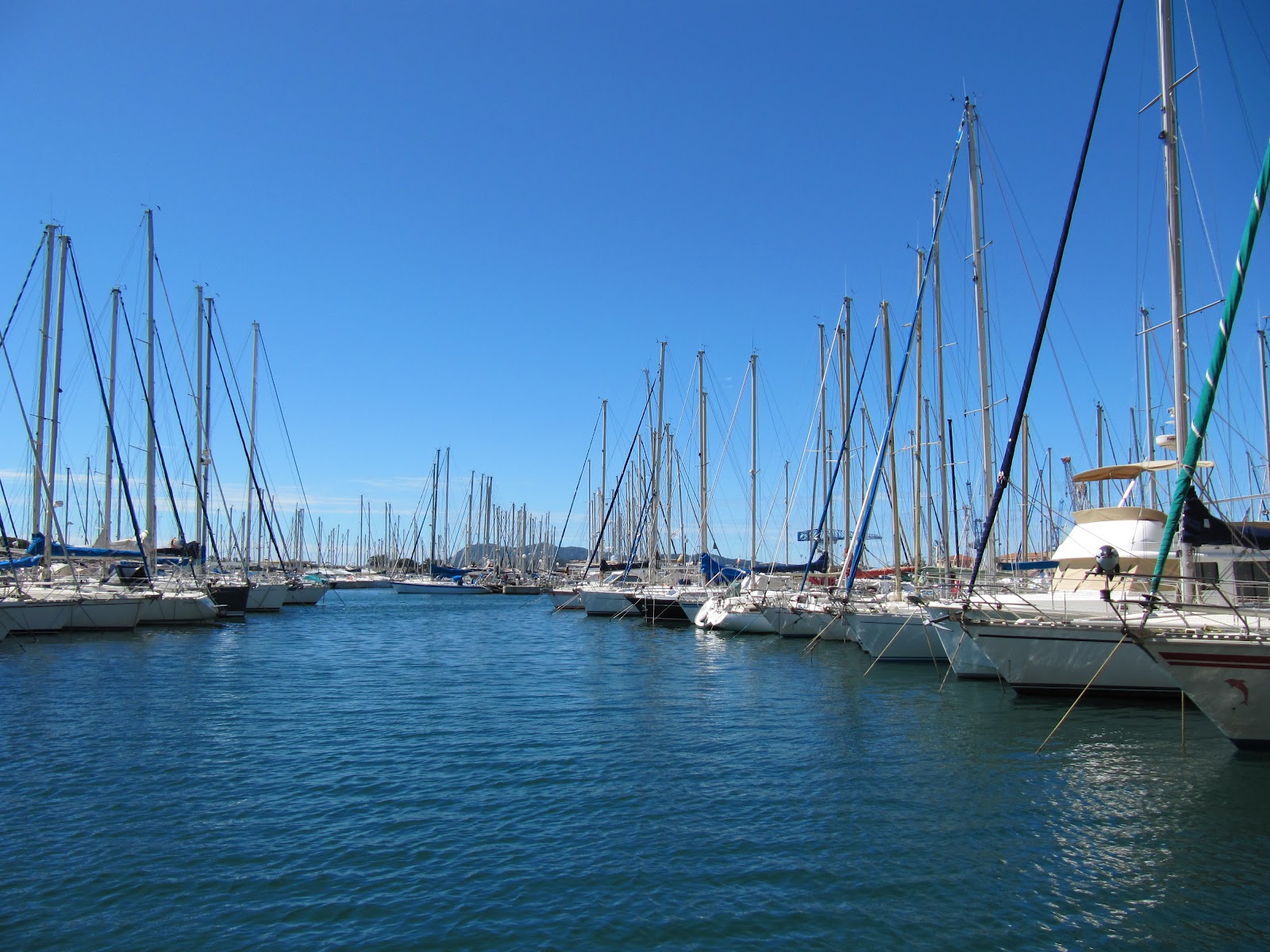 Veloce ® cycling and bike rental company Things to do in Toulon