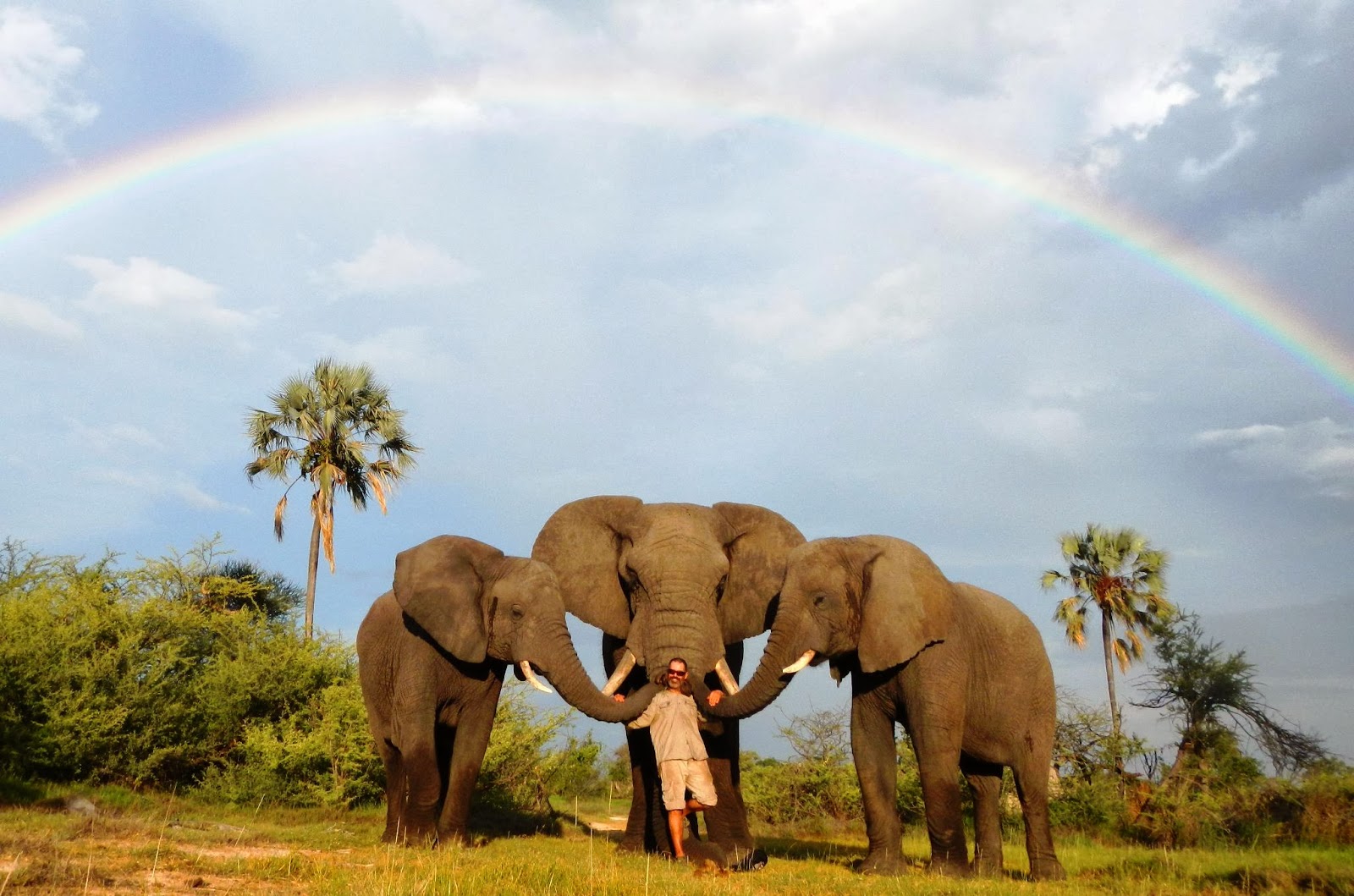 Zoo Jobs Elephant Handler