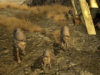 fallout game coyotes