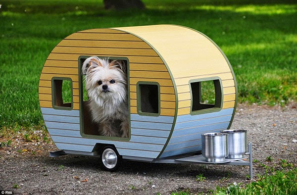 pet camper by straight