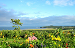 Garden on  our Hill and Ocean view Beyond