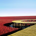 Amazing Red Beach