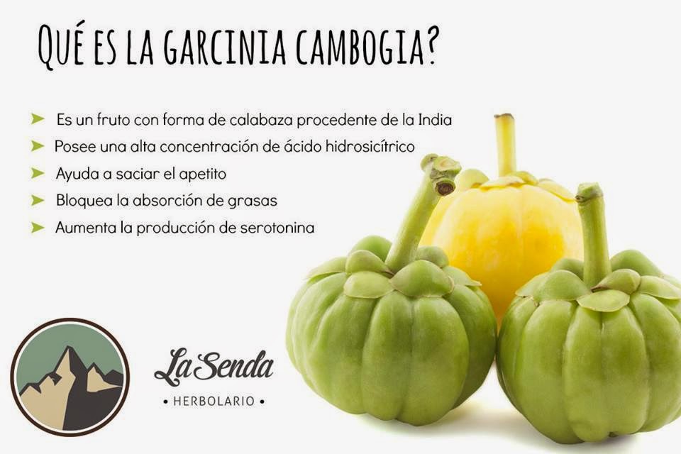 La Garcinia Cambogia, el fruto del que todos hablan La Garcinia Cambogia, el fruto del que todos hablan